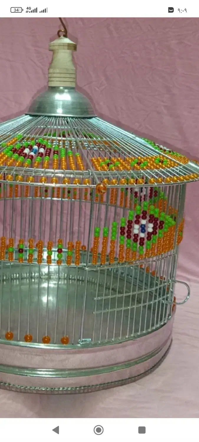 یک عدد سهره خاکی|پرنده|مشهد, نیزه|دیوار