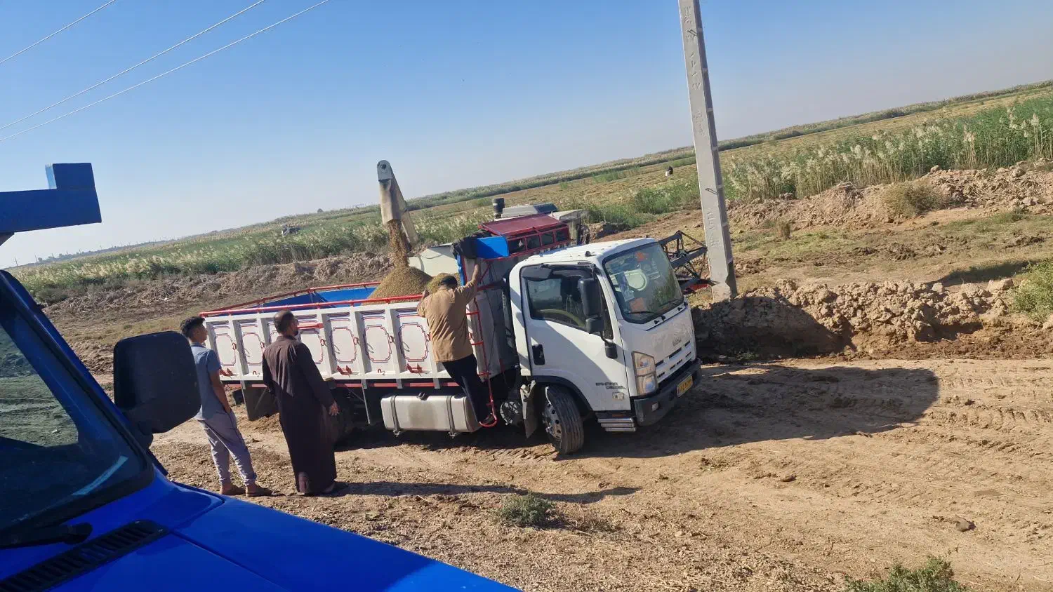 شلتوک|عمدهفروشی|خرمشهر, |دیوار