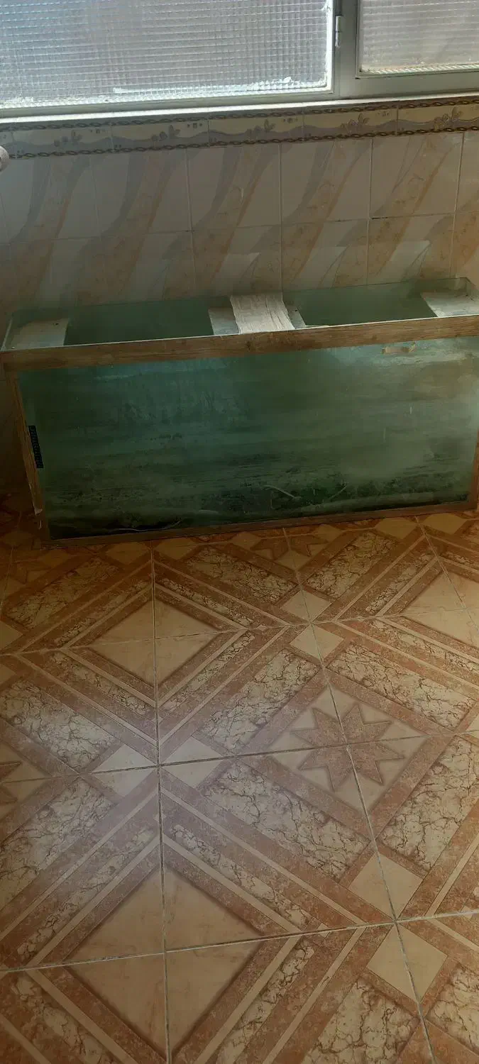 فروش آکواریوم ۱۵۰۰۰۰۰|ماهی|انابد, |دیوار