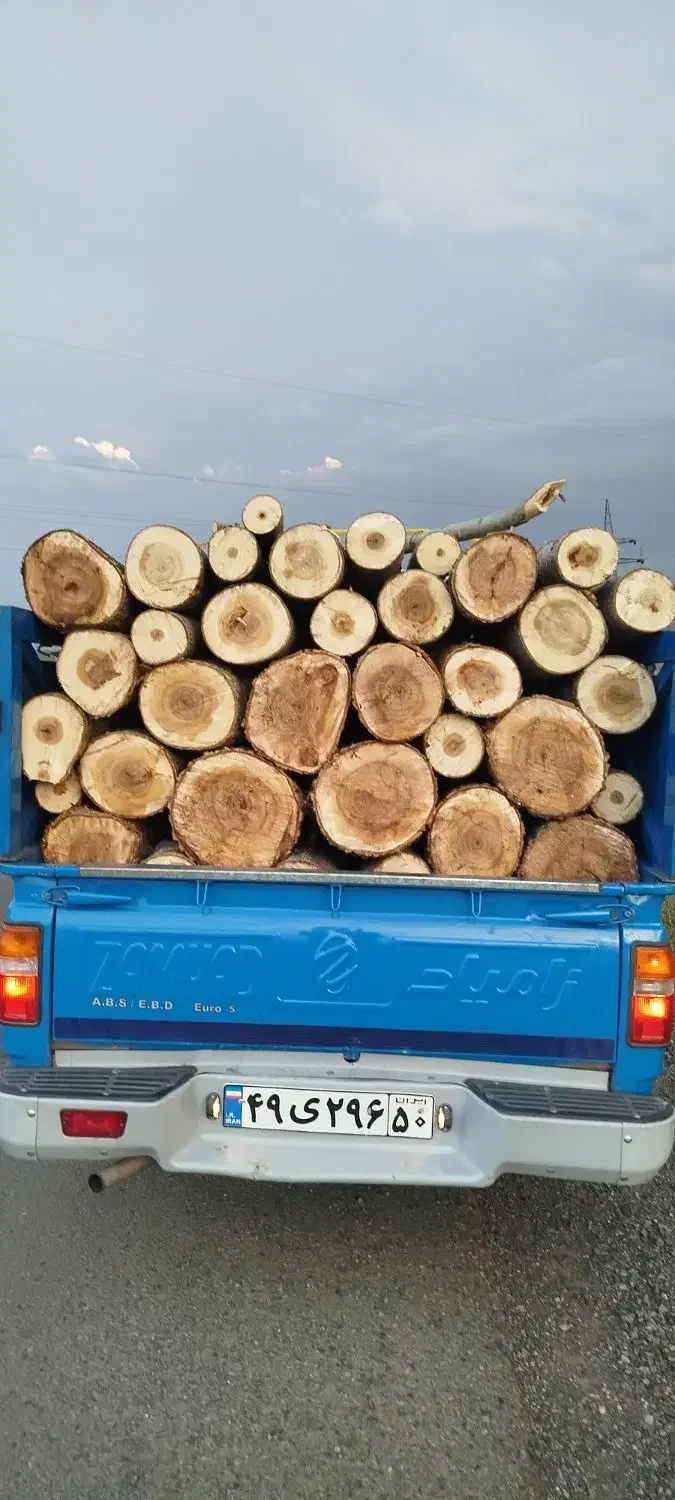 خریدار درخت و چوب|خدمات باغبانی و درختکاری|اردبیل, |دیوار