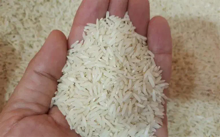 برنج صدری هاشمی|خوردنی و آشامیدنی|تبریز, |دیوار
