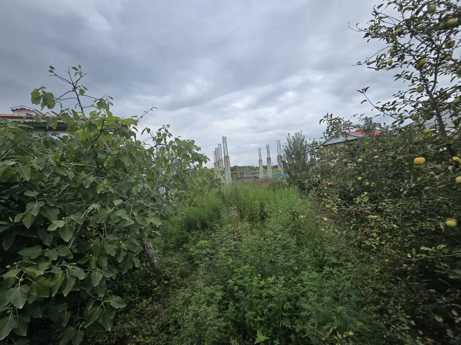 فروش نیمه ساز ۳۸۶ متری شهری|فروش زمین و ملک کلنگی|رضوانشهر, |دیوار