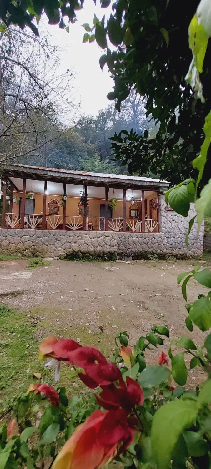 ویلا جنگلی گیل دخت دربست ویو ابدی|اجارهٔ کوتاهمدت ویلا و باغ|رشت, رشتیان|دیوار