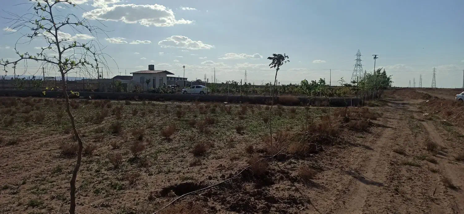 زمین|فروش زمین و ملک کلنگی|اشتهارد, |دیوار