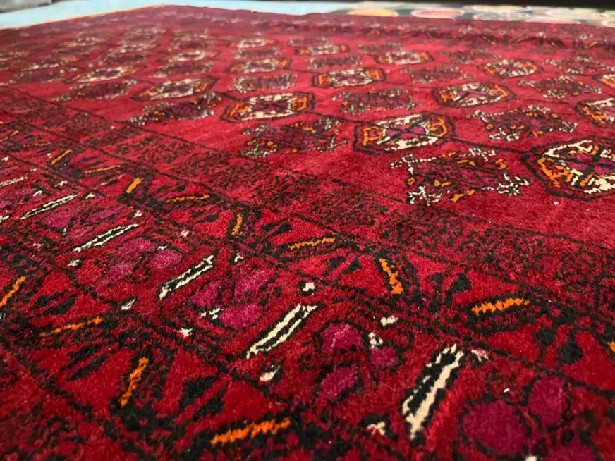 فرش|فرش|مشهد, هفت تیر (حافظ)|دیوار