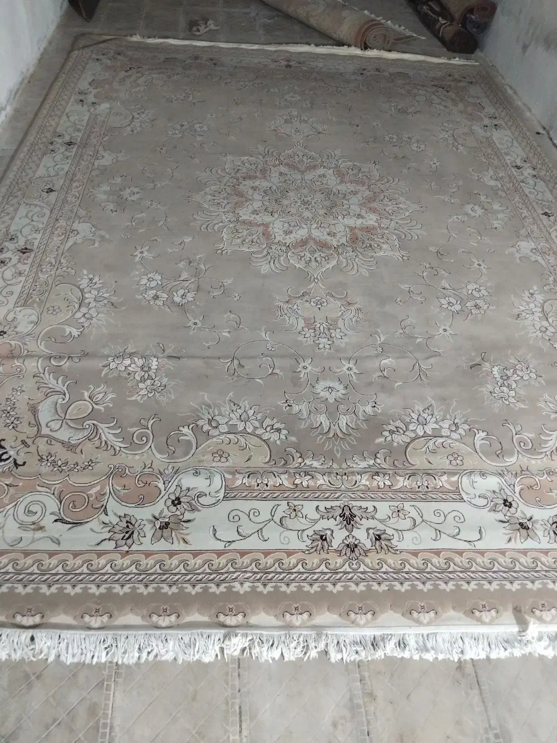 ۱ تخته فرش ۱۲ متری|فرش|بابلسر, |دیوار