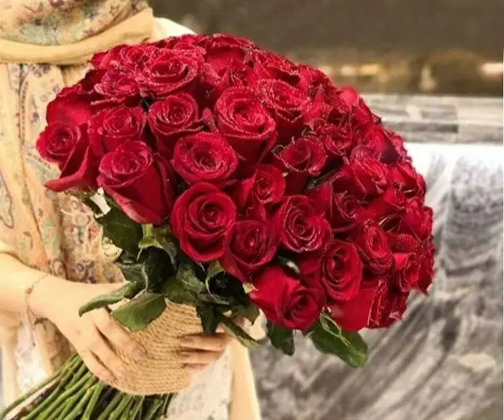 گل رز هلندی محصول باکیفیت|گل و گیاه طبیعی|تهران, نیلوفر|دیوار