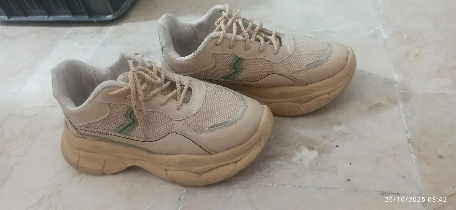 کفش|کیف، کفش، کمربند|بیرجند, |دیوار