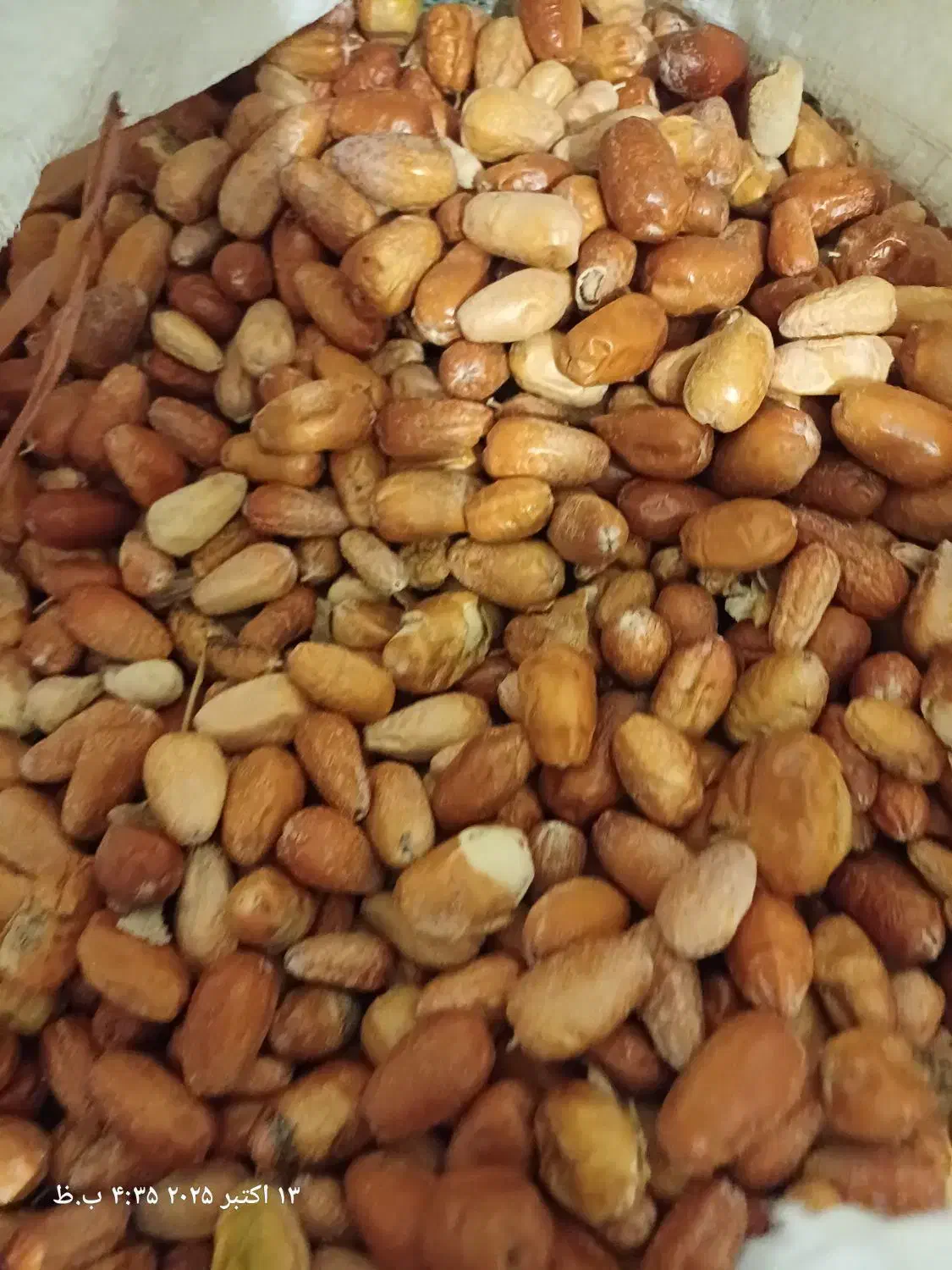 سنجد امسالی|خوردنی و آشامیدنی|مشهد, چهارچشمه|دیوار
