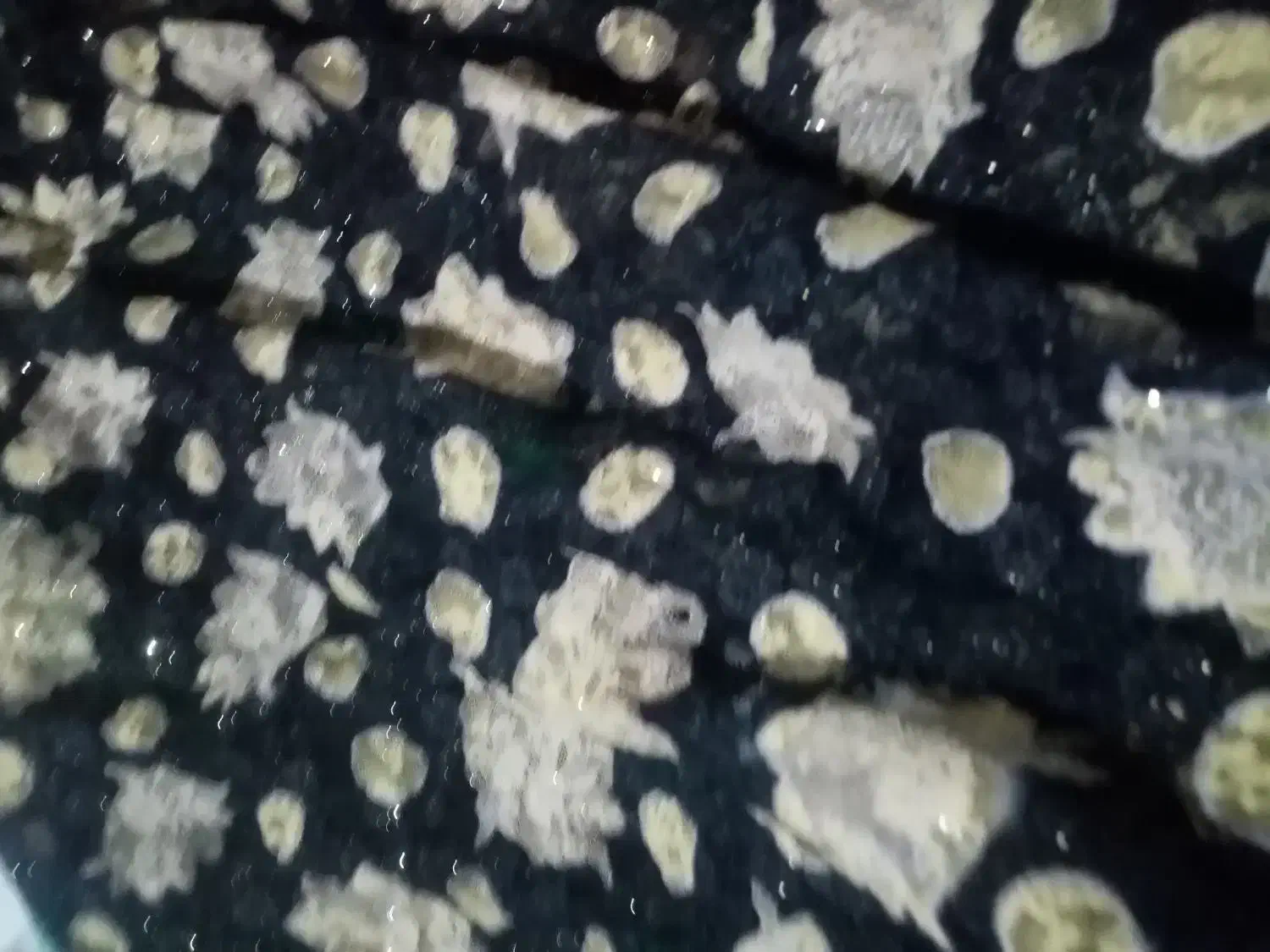 چادر مجلسی|لباس|خاش, |دیوار