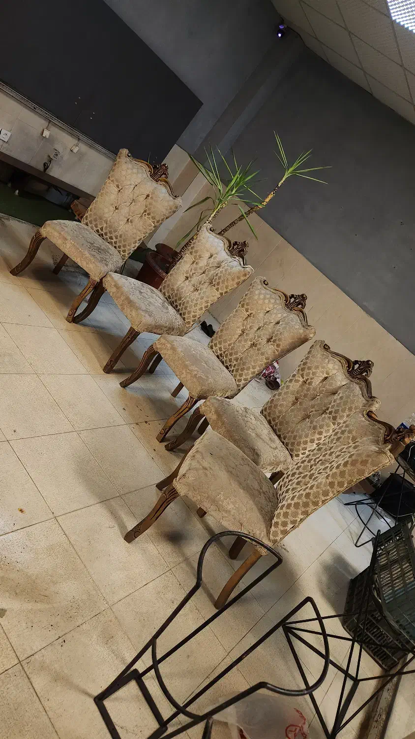 شش عدد صندلی دونه ای ۲۵۰|میز و صندلی غذاخوری|ساری, |دیوار