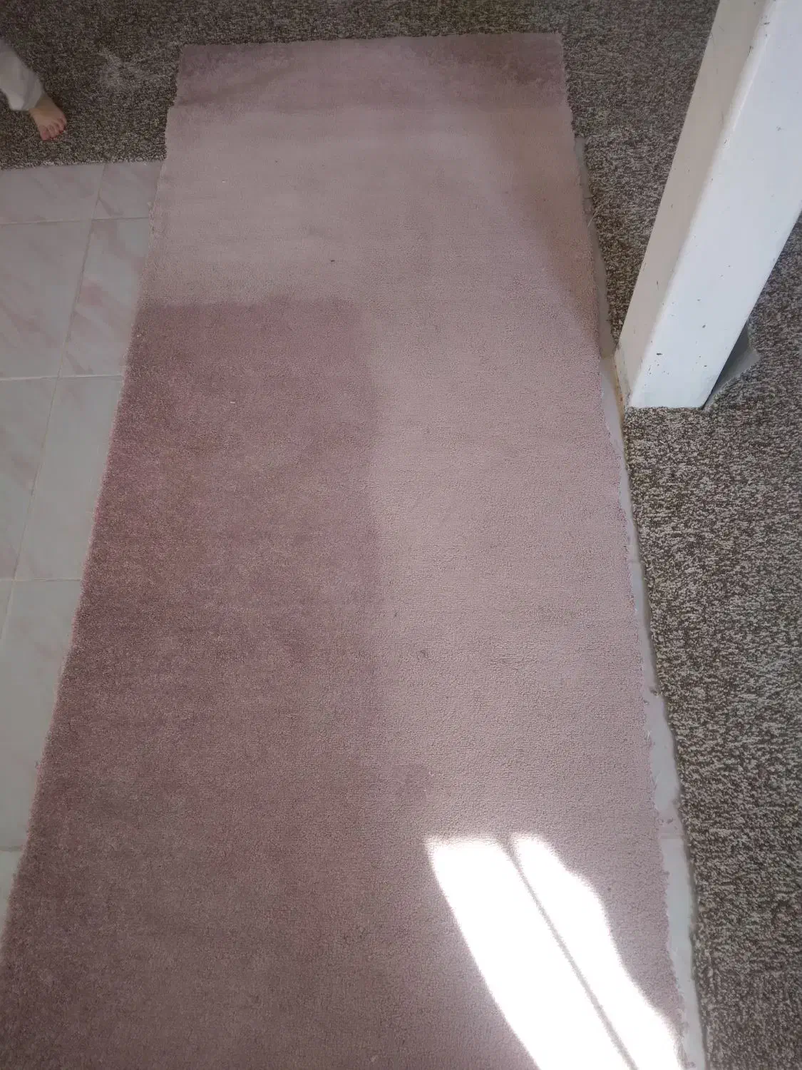 پالاز موکت|موکت|کوهدشت, |دیوار