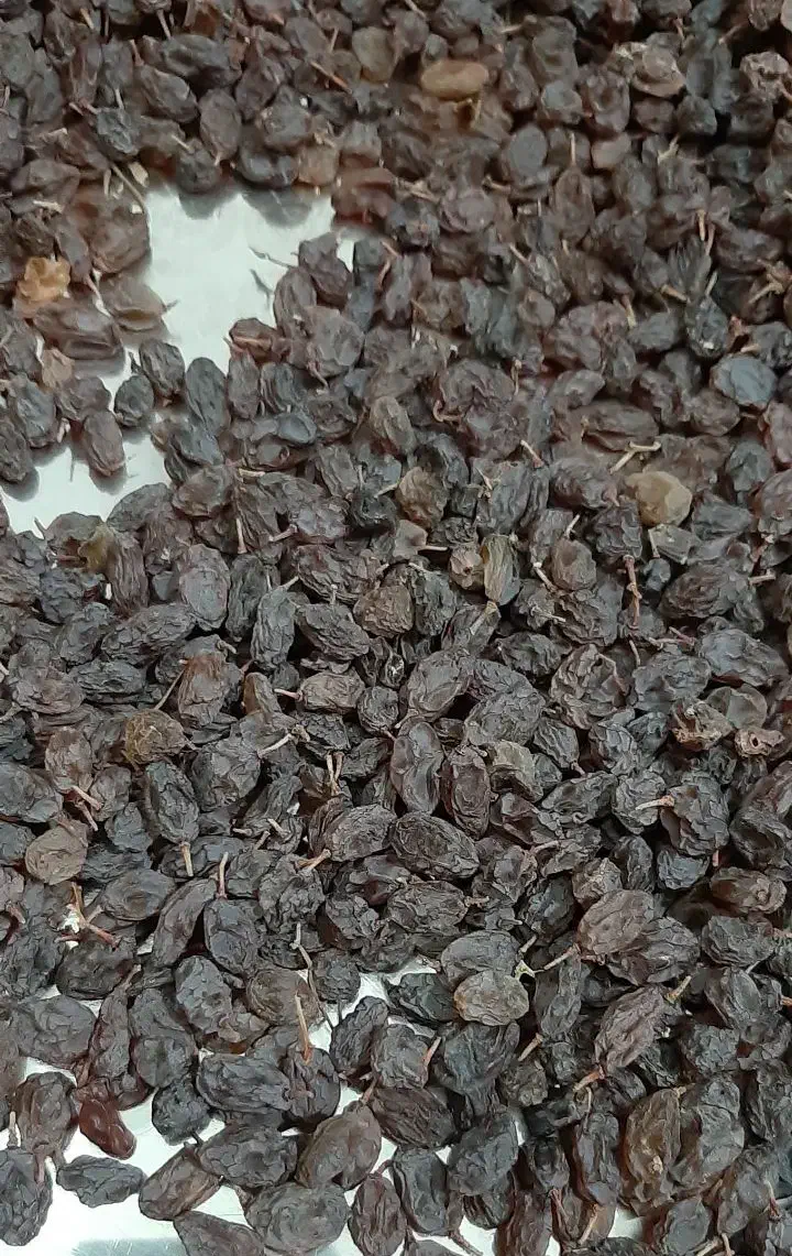 کشمش آفتابی تازه|خوردنی و آشامیدنی|ملایر, |دیوار