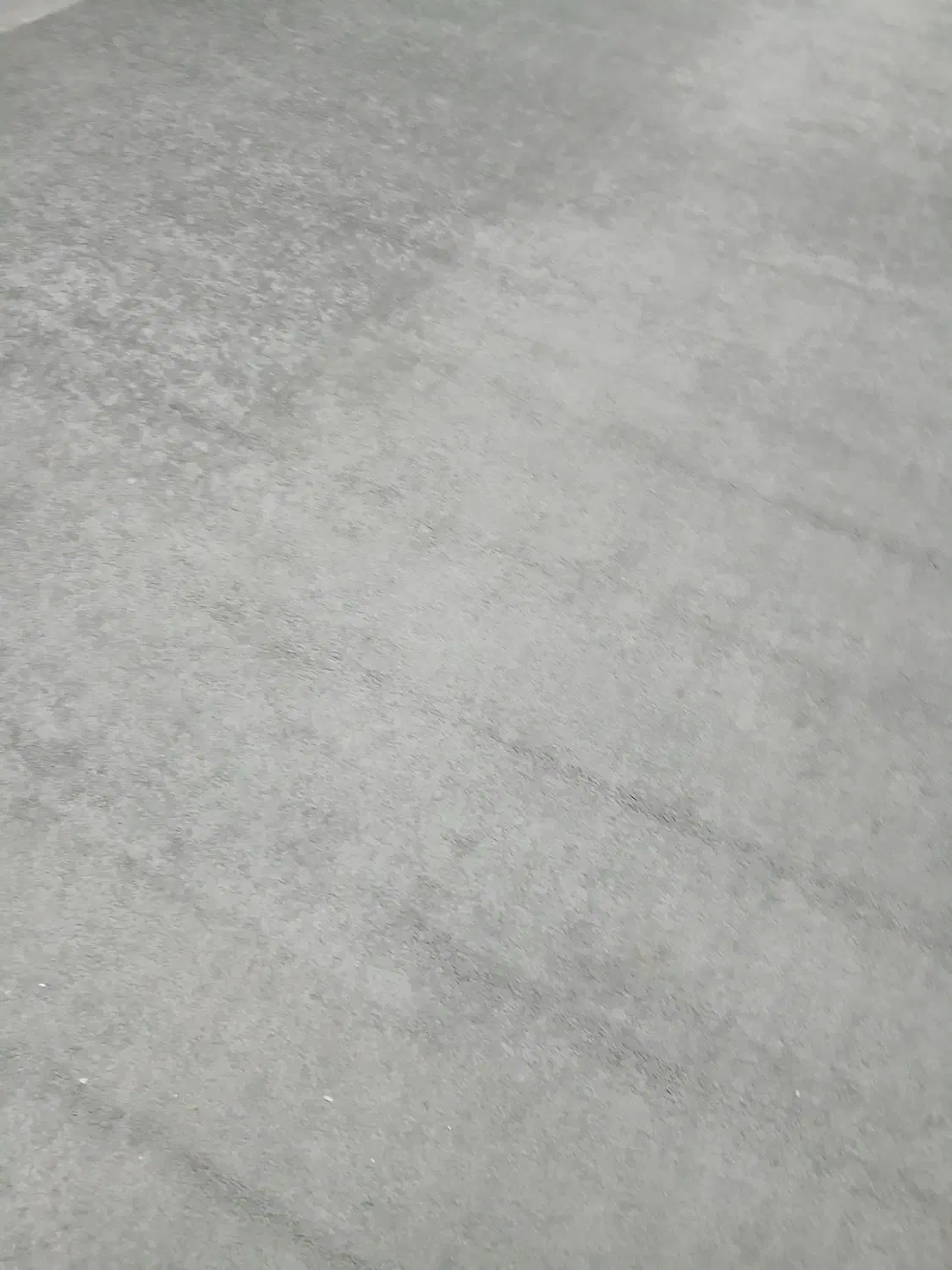 پالاز موکت ۱۶/۵ و ۱۳ متر مربع|موکت|اردبیل, |دیوار