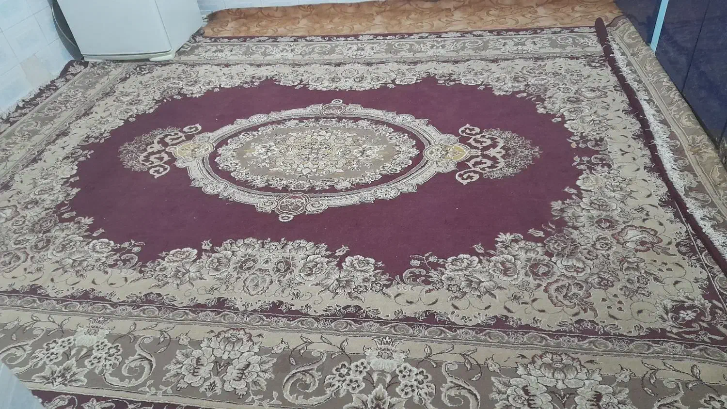 قالی ۱۲ متری|فرش|تربت جام, کلالی|دیوار