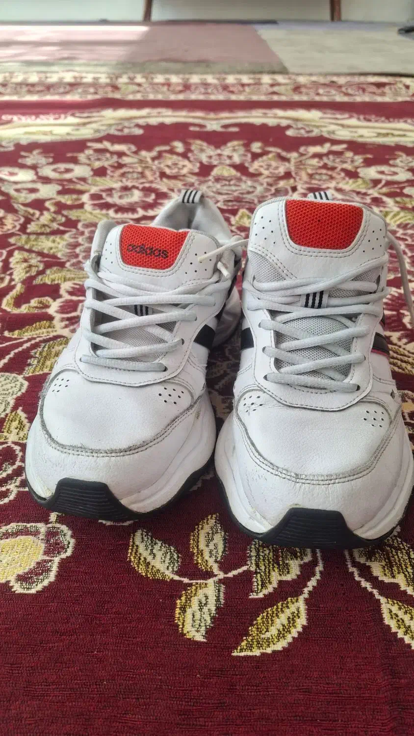 کتونی آدیداس|کیف، کفش، کمربند|بهارستان, |دیوار