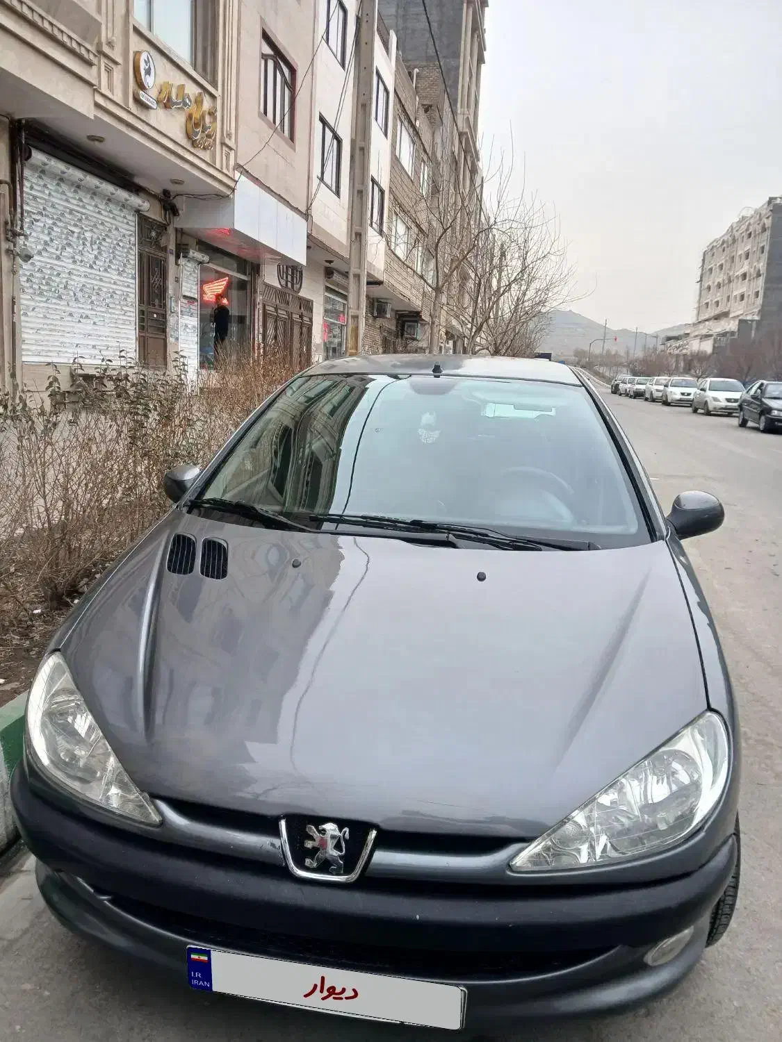 206sd v8 مدل 1393|خودرو سواری و وانت|مشهد, کوشش|دیوار