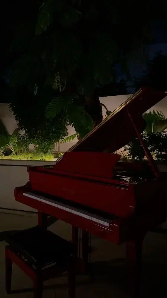 تدریس پیانو‌استاد خانم|خدمات آموزشی|لواسان, |دیوار