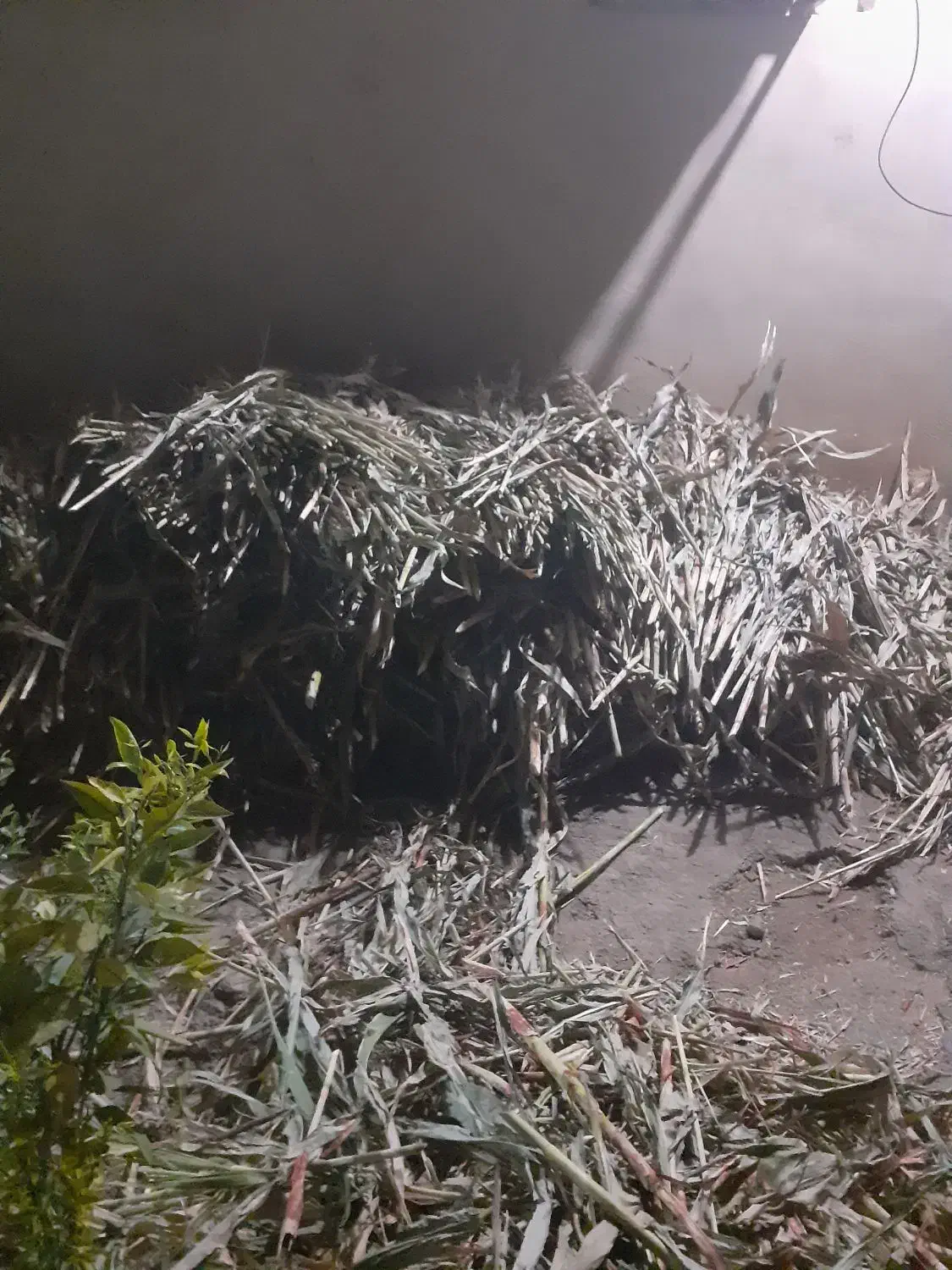 چهارنیسان جاروشهری تازه چیده شده|لوازم نظافت|خرم‌آباد, |دیوار