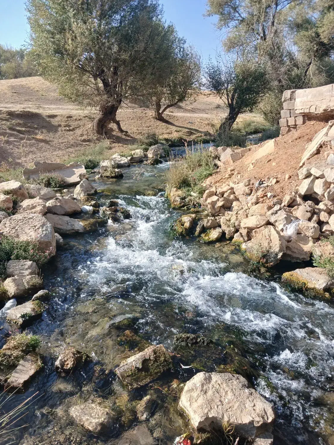 زمین کشاورزی|فروش زمین و ملک کلنگی|کشکوئیه, |دیوار