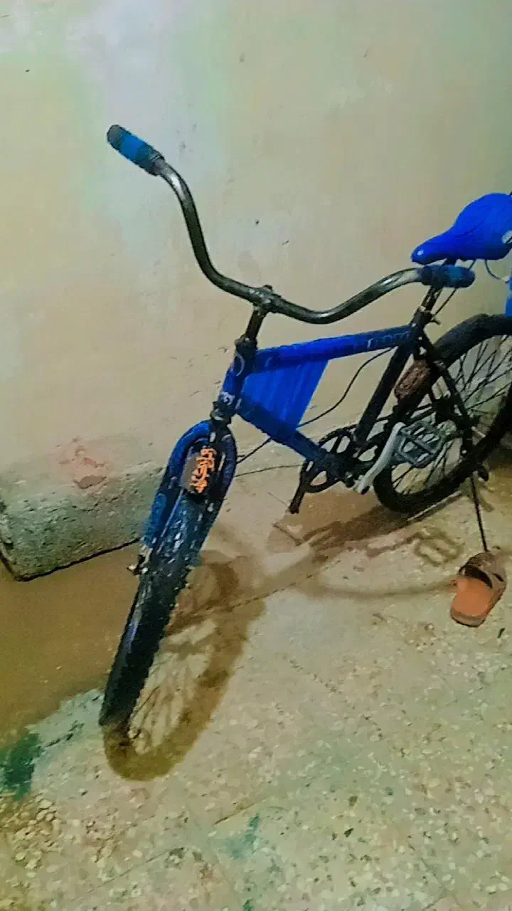 دوچرخه 24|دوچرخه، اسکیت، اسکوتر|ایرانشهر, |دیوار