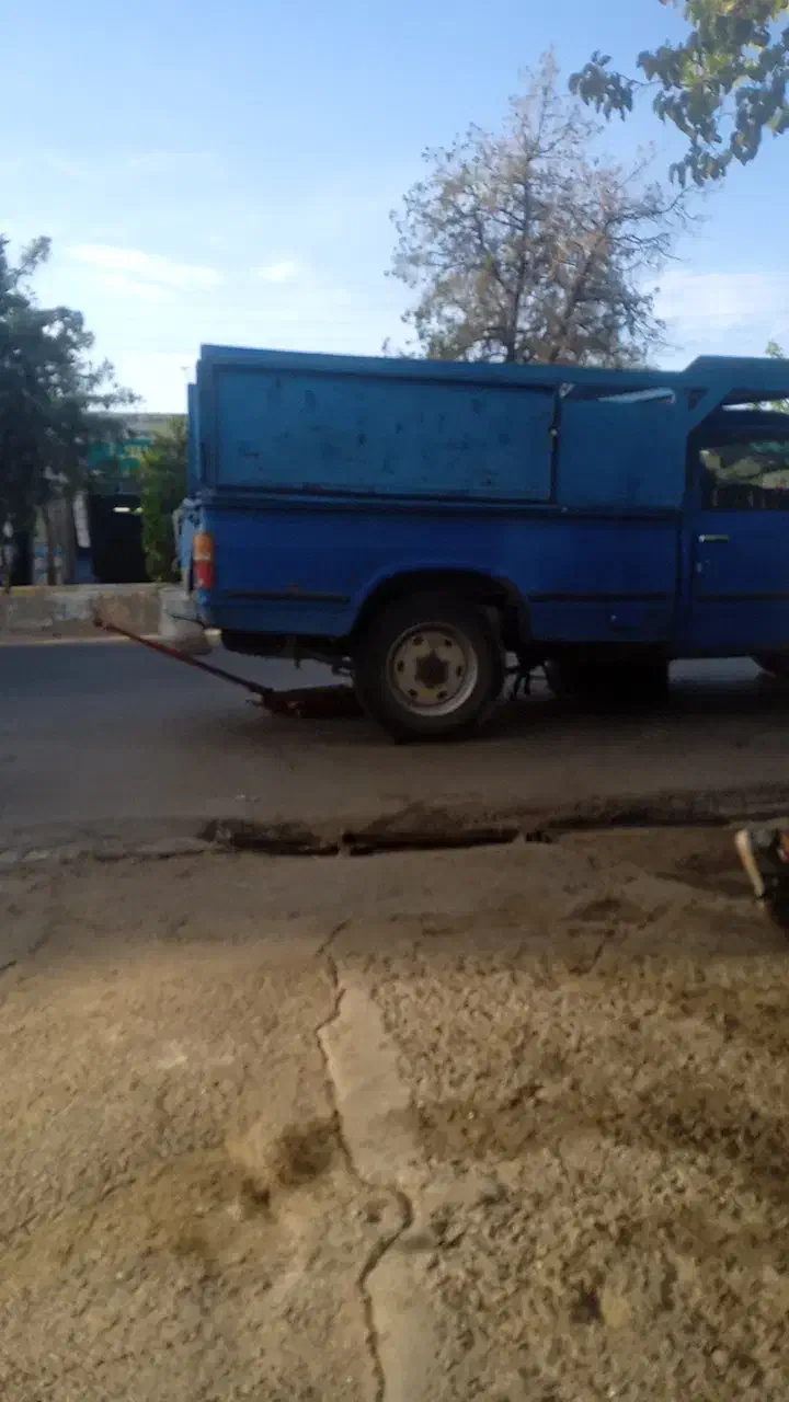 خرید وهرس چوب باغی|خدمات باغبانی و درختکاری|بیرجند, |دیوار