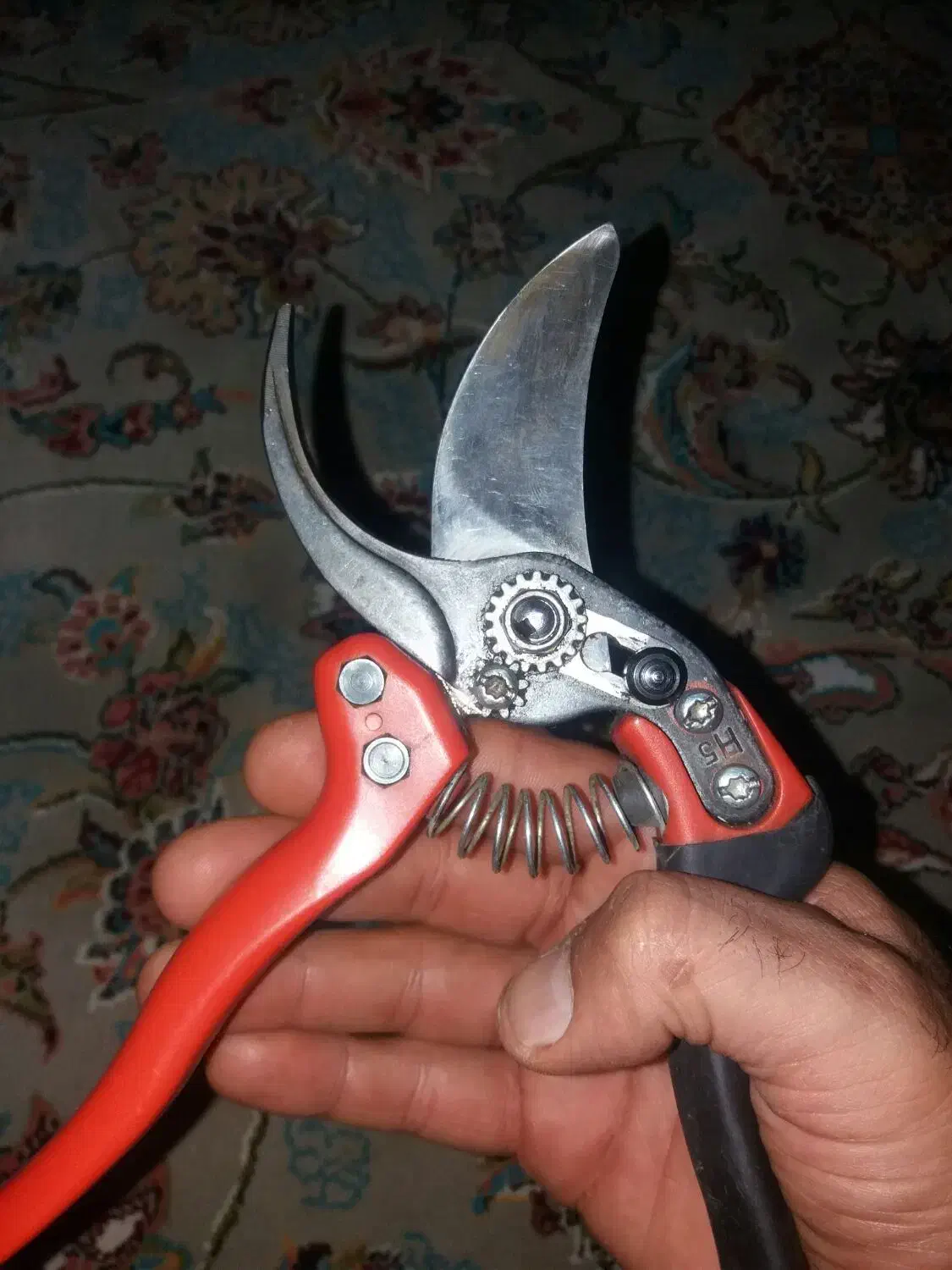 هرس کار درخت سیب|خدمات باغبانی و درختکاری|بوکان, |دیوار