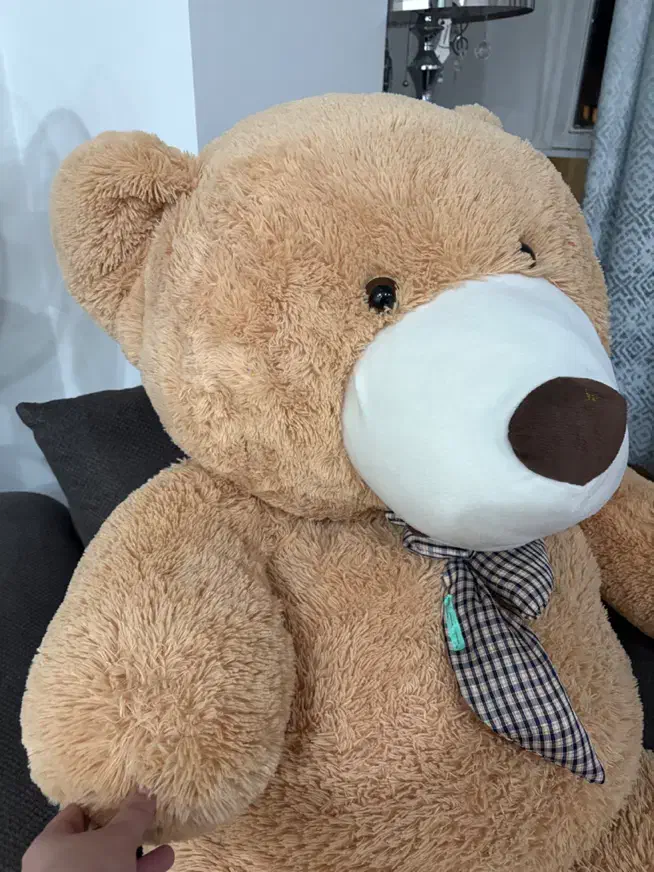 عروسک خرس بزرگ ولنتاین|اسباب‌‌بازی|کرج, ساماندهی|دیوار