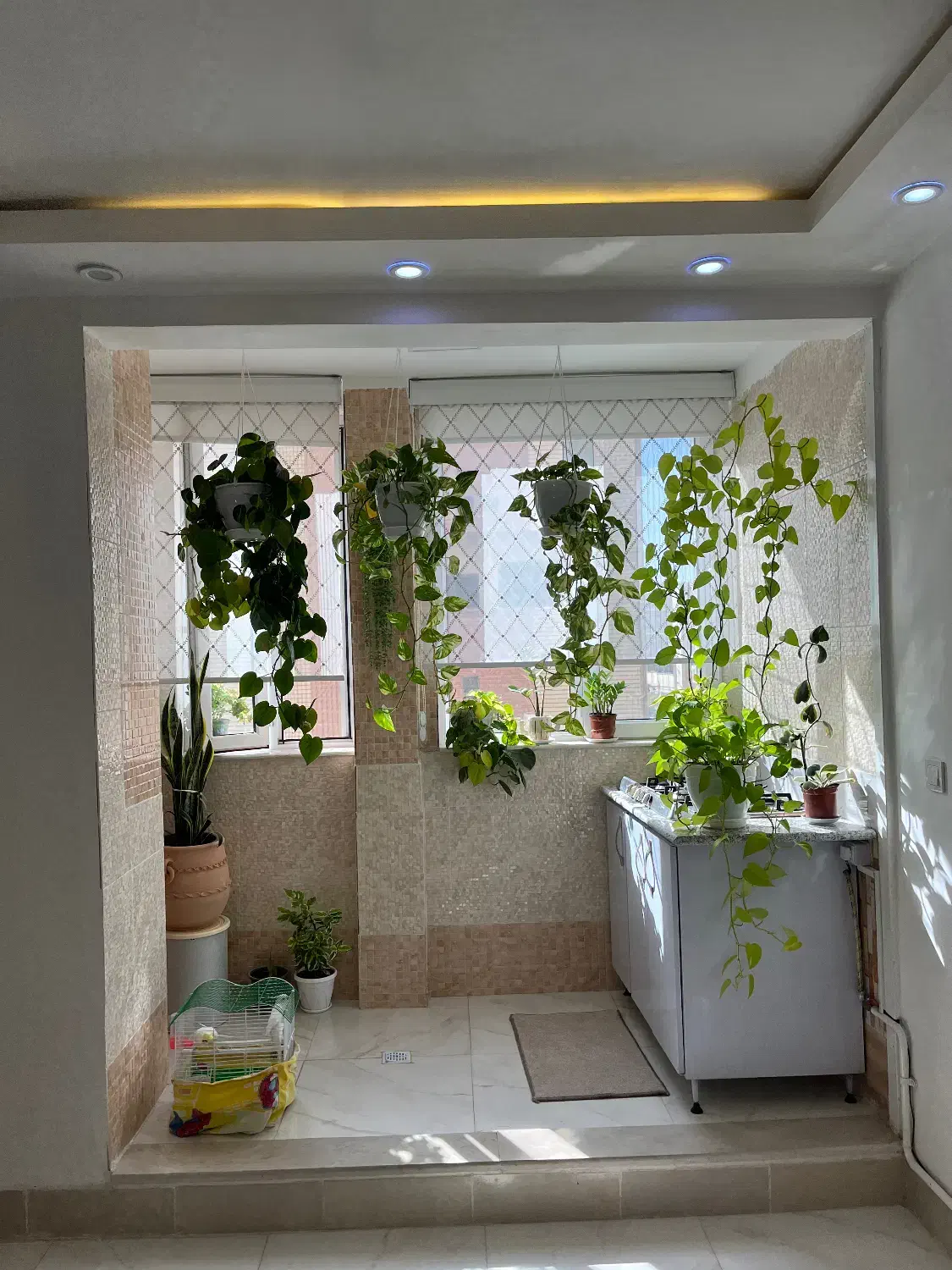 شهرک کوثرنوسازفول موردفروش بامبالغ مختلف موجود|فروش آپارتمان|شاهرود, |دیوار