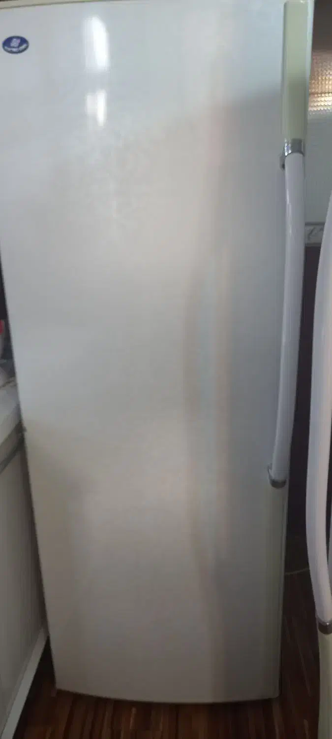 یخچال فریزر دوقلو|یخچال و فریزر|بروجن, |دیوار