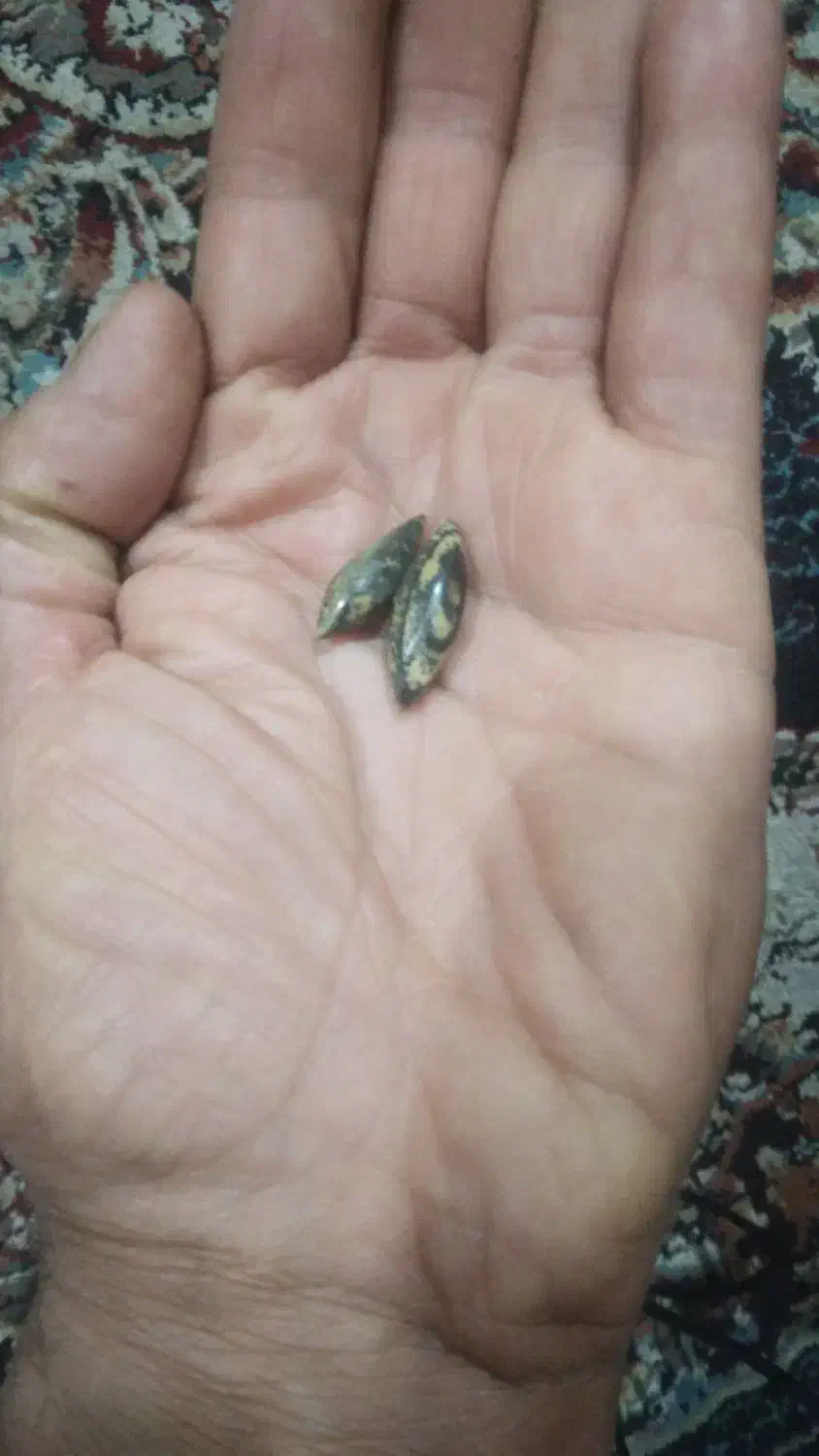 سنگ مهره|کلکسیون اشیاء عتیقه|شیراز, شهرک بهار|دیوار