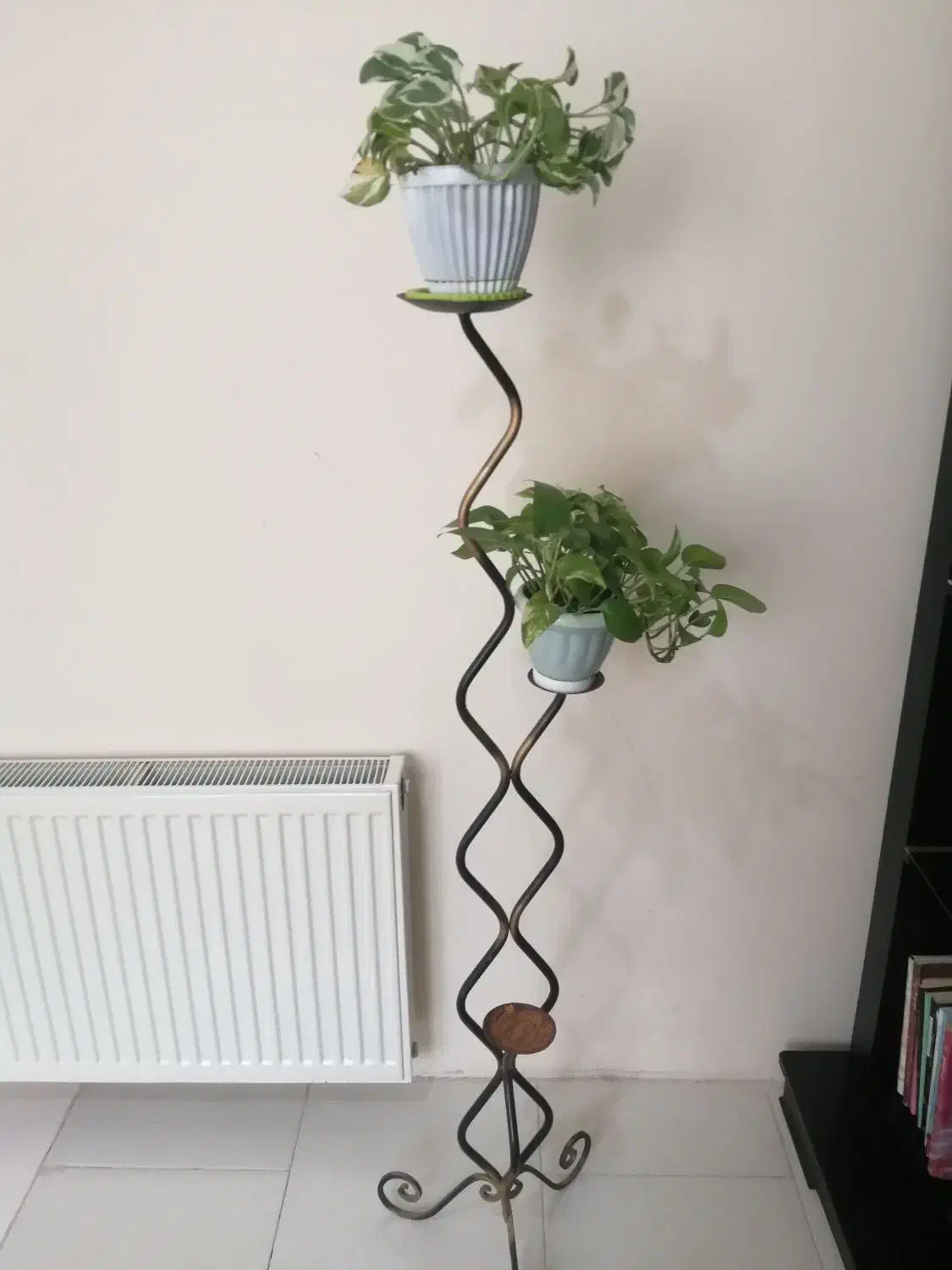 استند گل و گیاه پایه گلدان|گل و گیاه طبیعی|پرند, فاز ۶|دیوار