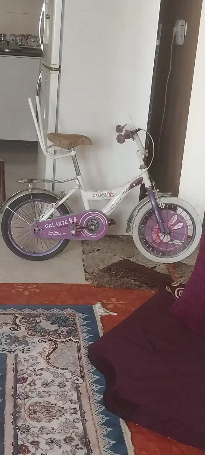 دوچرخه|دوچرخه، اسکیت، اسکوتر|گلبهار, شهر جدید گلبهار|دیوار