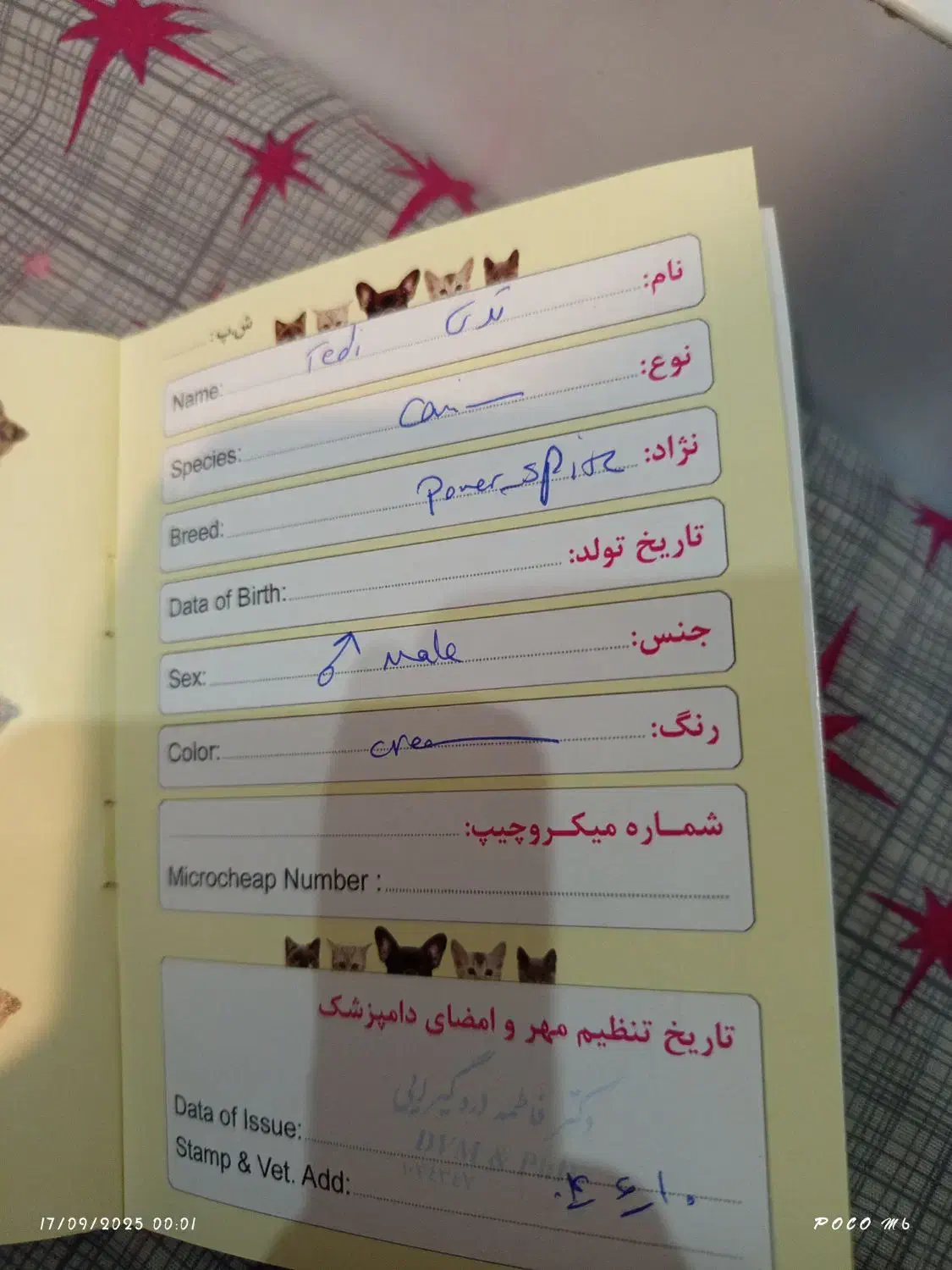 فروش سگ|سگ|سیرجان, |دیوار