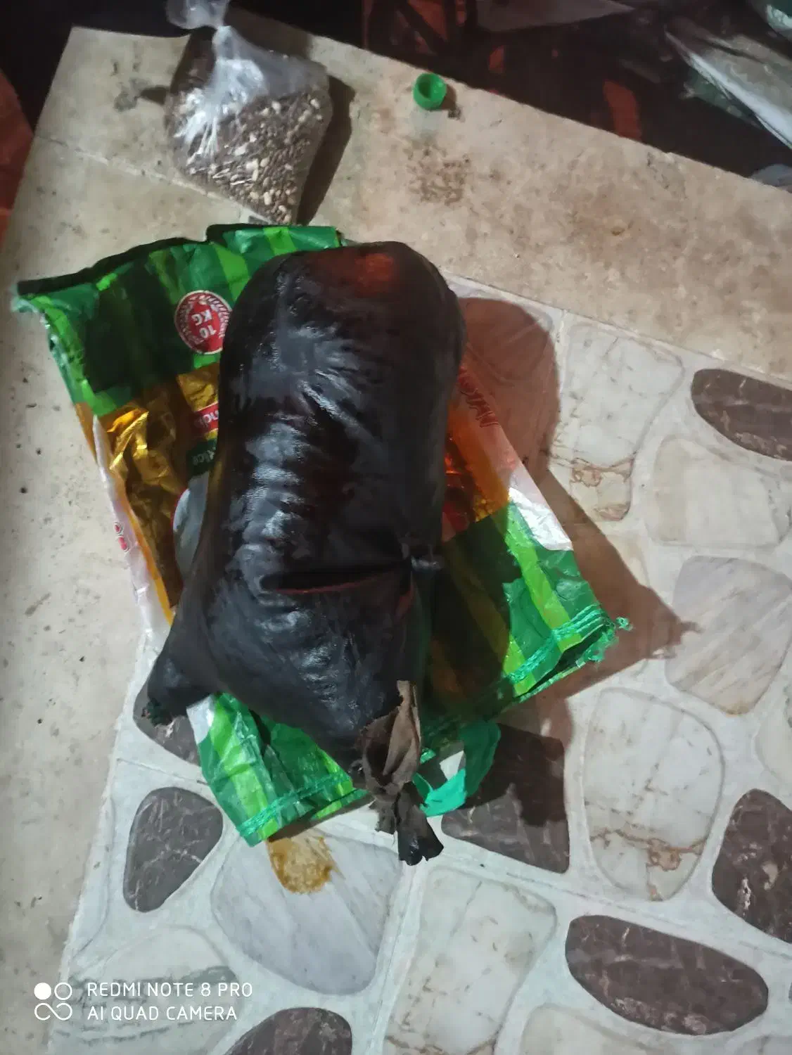 هیزه|کلکسیون و سرگرمی|کوهدشت, |دیوار