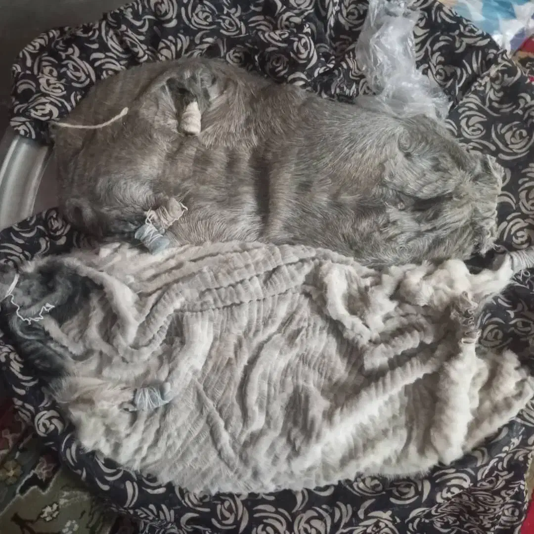 خیگ چهار انگله|ظروف سرو و پذیرایی|دزپارت, |دیوار