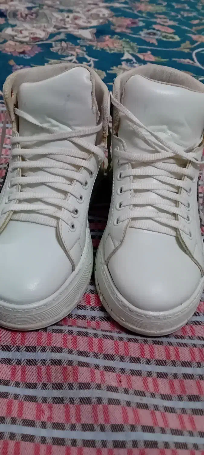 دو جفت کفش|کیف، کفش، کمربند|چناران, |دیوار