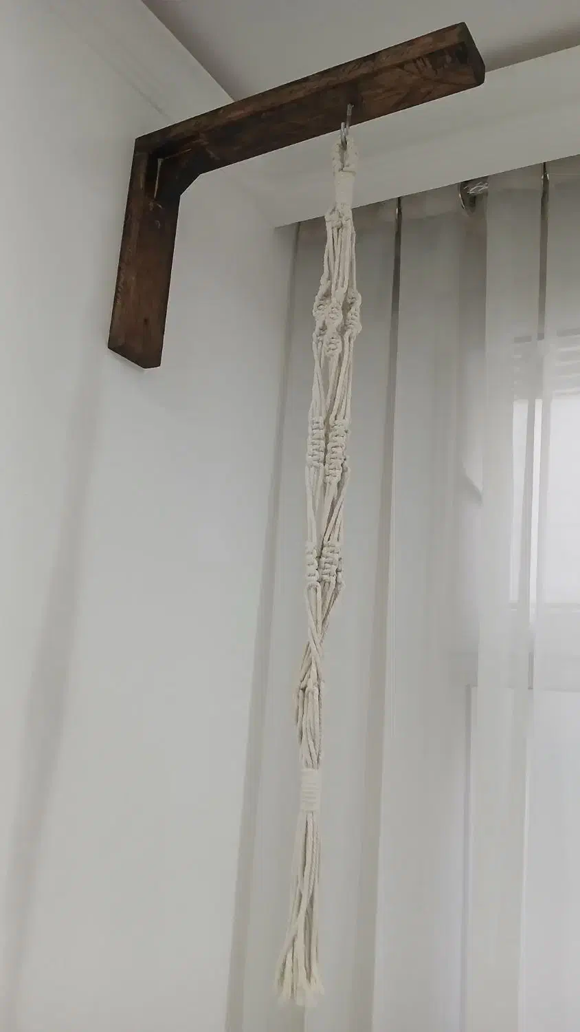 آویزگل دیواری|گل و گیاه طبیعی|قرچک, مهدیه|دیوار