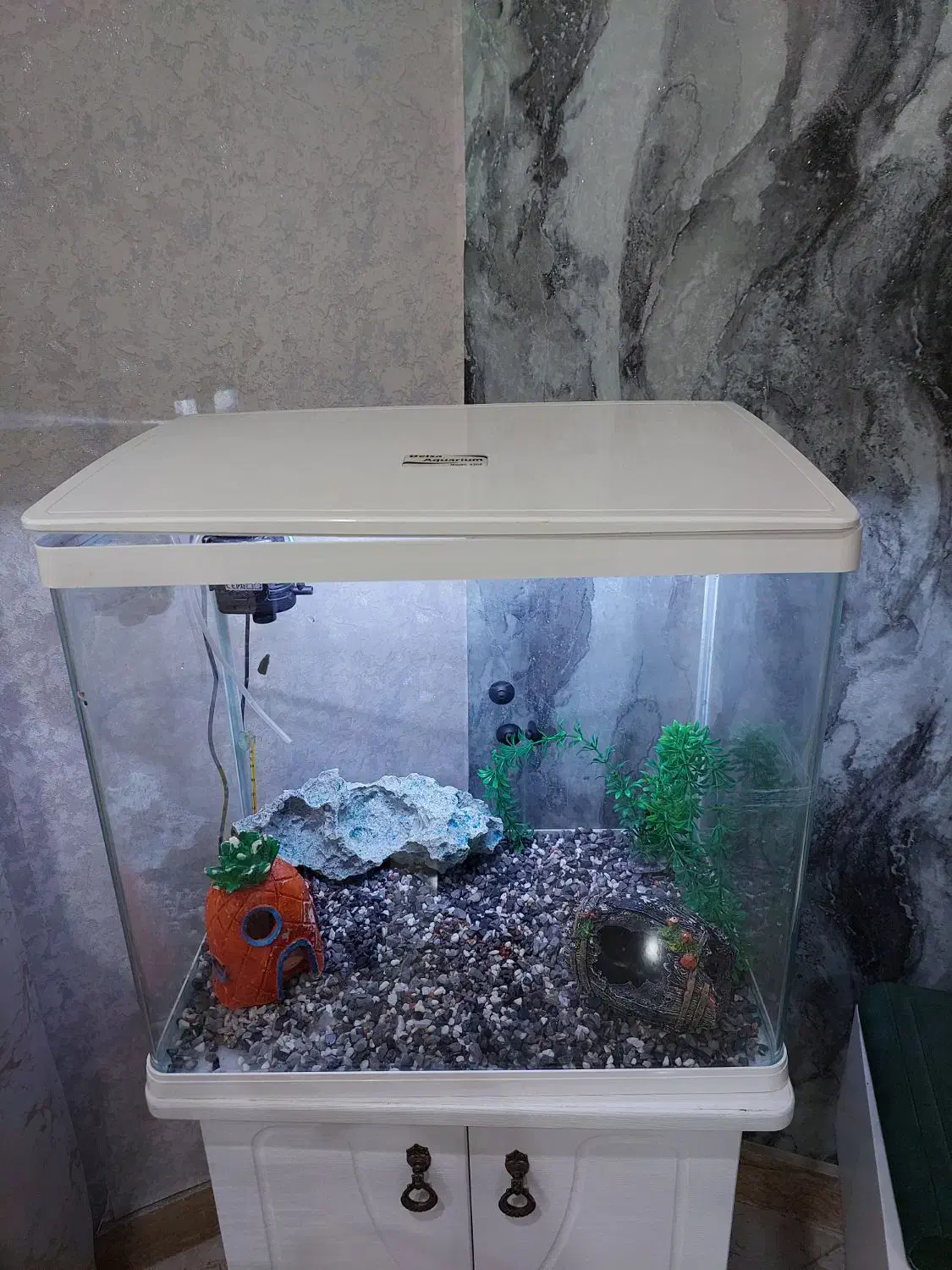 یک عدد اکواریوم با تمام وسیله ها|لوازم جانبی حیوانات|اهواز, کیانشهر|دیوار