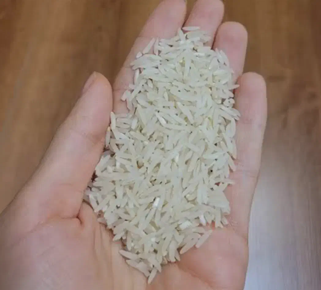 برنج فجر گرگان|خوردنی و آشامیدنی|گرگان, |دیوار