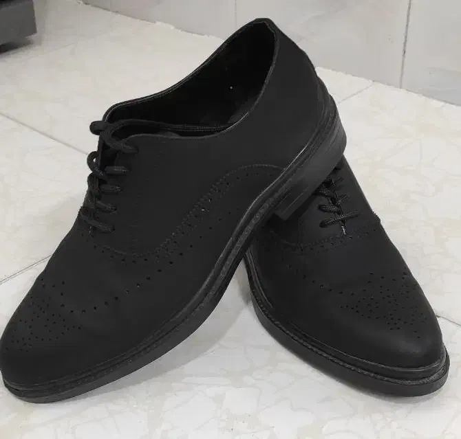 کفش مردانه مجلسی|کیف، کفش، کمربند|قم, شهرک امام حسن|دیوار