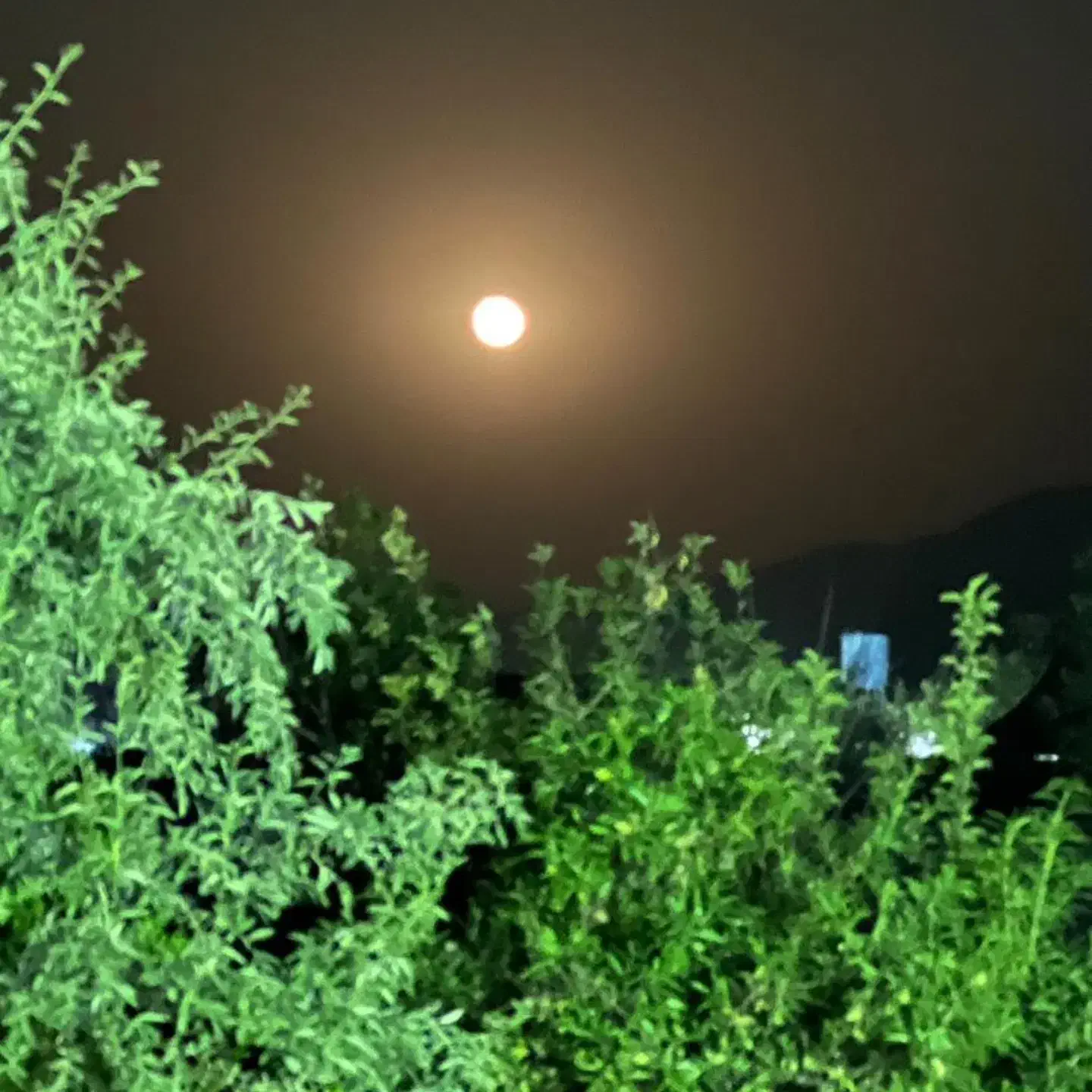 راهنمایی مالی|فعالیت داوطلبانه|شیراز, باغ تخت|دیوار