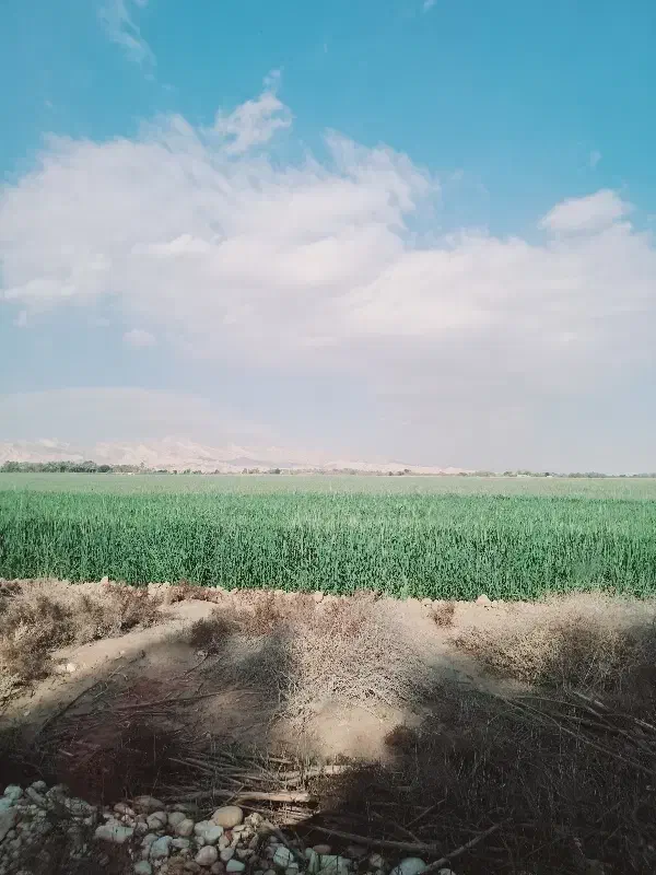 اجاره چاه و تلمبه|اجارهٔ دفتر صنعتی، کشاورزی، تجاری|علامرودشت, |دیوار