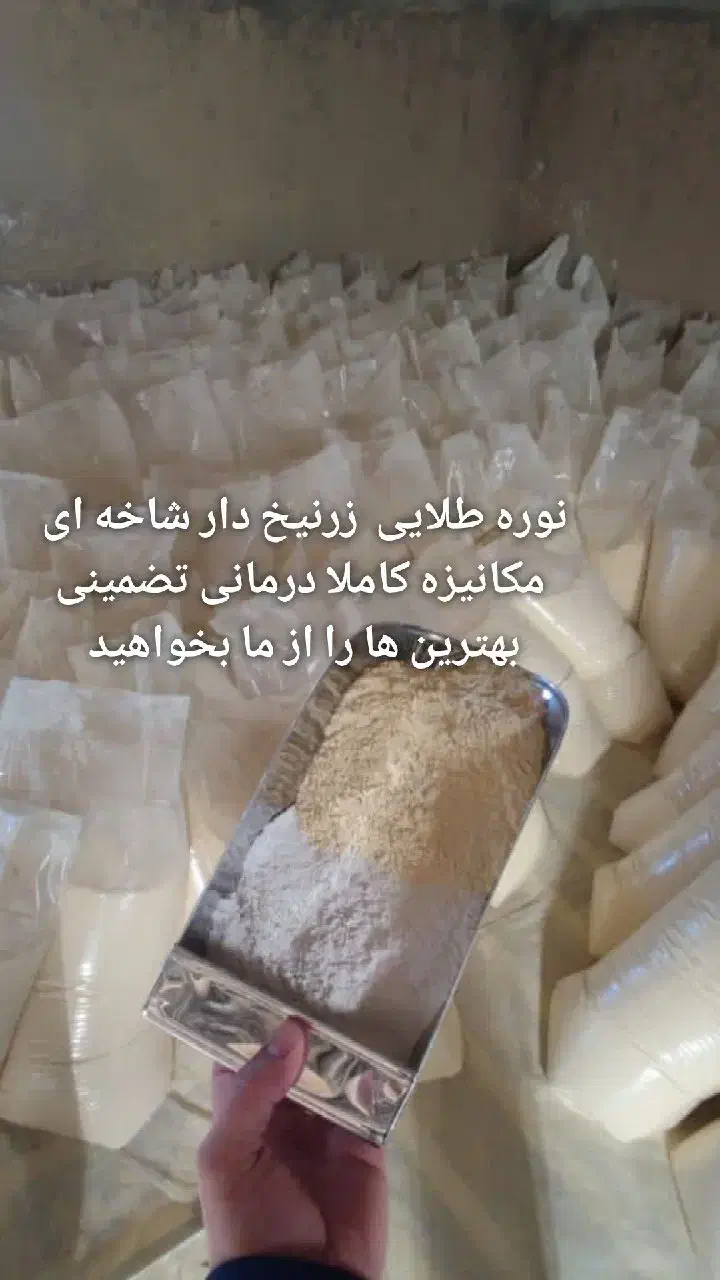 تولید و پخش نوره زرنیخ دار طلایی شاخه ای درمانی|آرایشی، بهداشتی، درمانی|اسلام‌شهر, شهرک مهدیه|دیوار