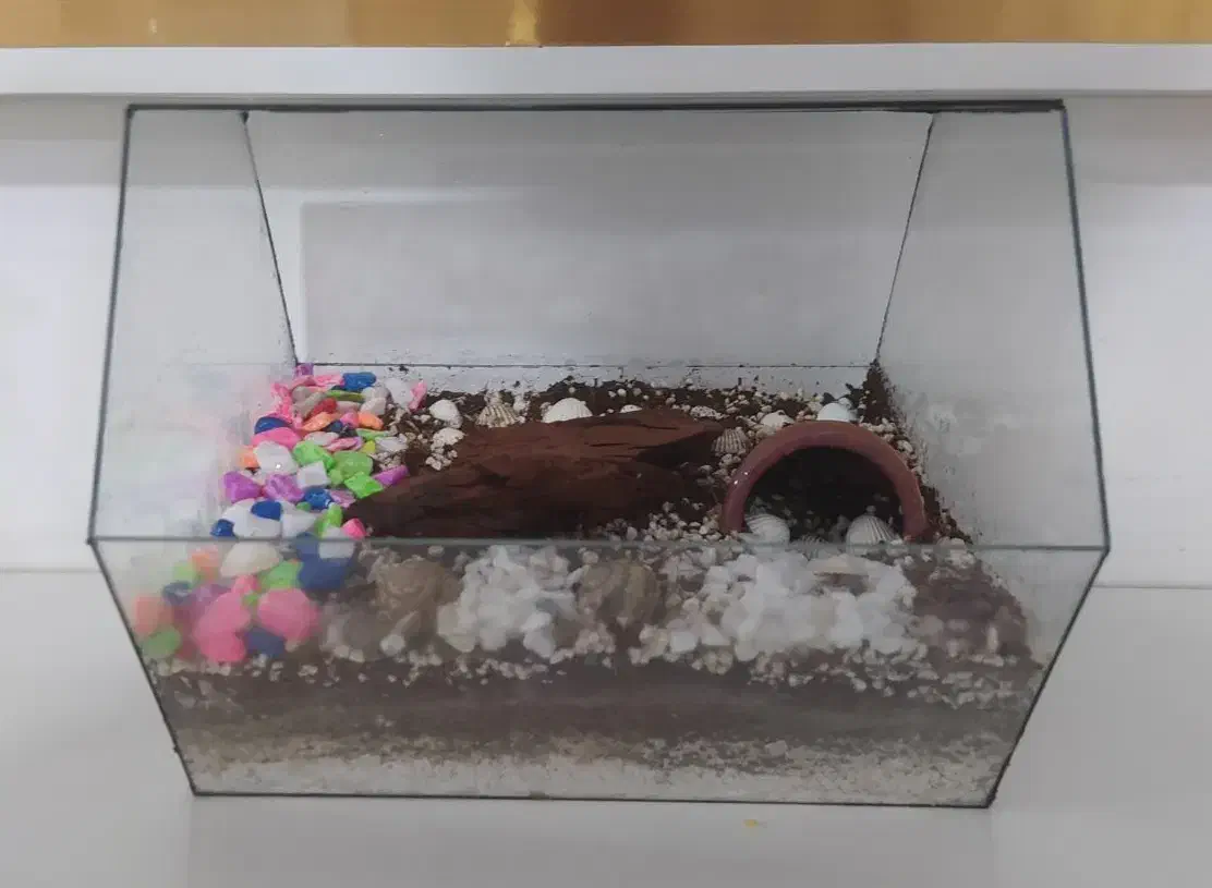 فروش تراریوم زیبا|صنایع دستی و سایر لوازم تزئینی|خرمدره, |دیوار