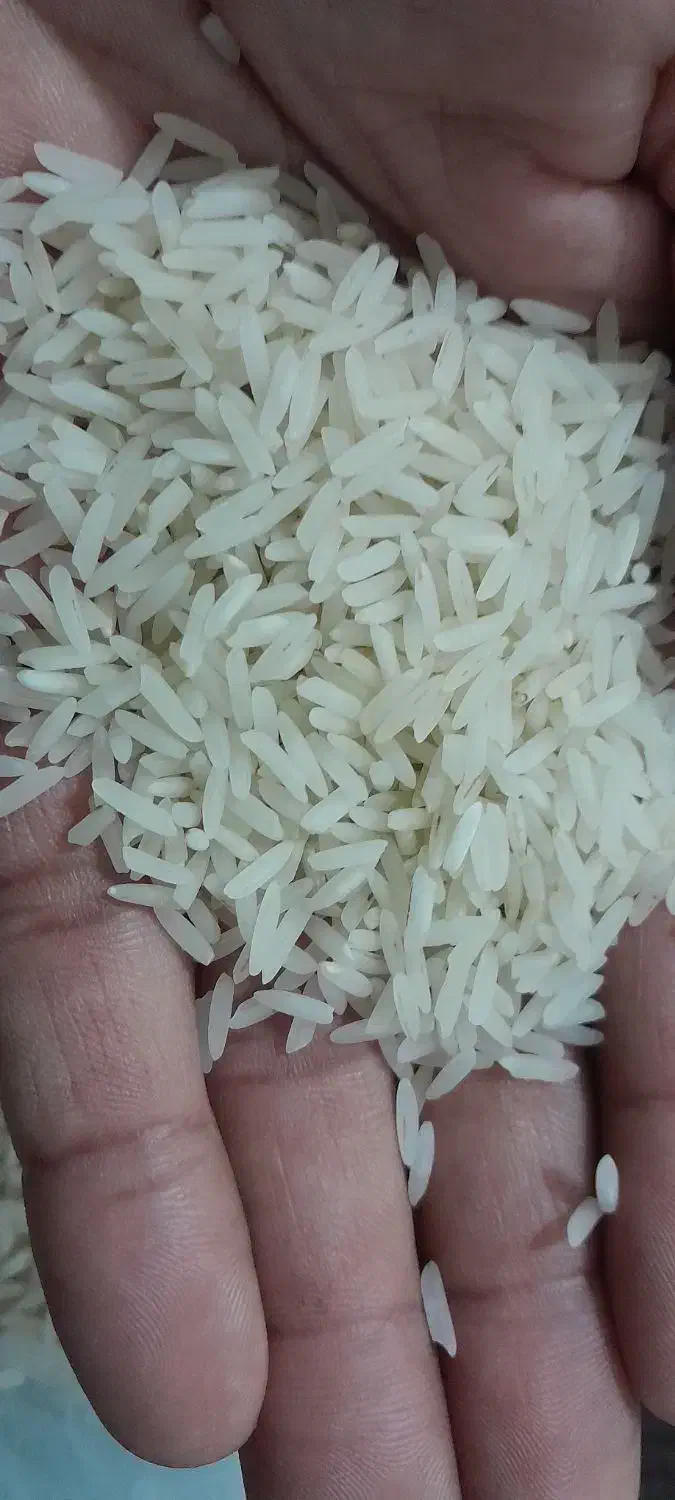 برنج ندا اعلادرجه یک|خوردنی و آشامیدنی|علیآباد کتول, |دیوار