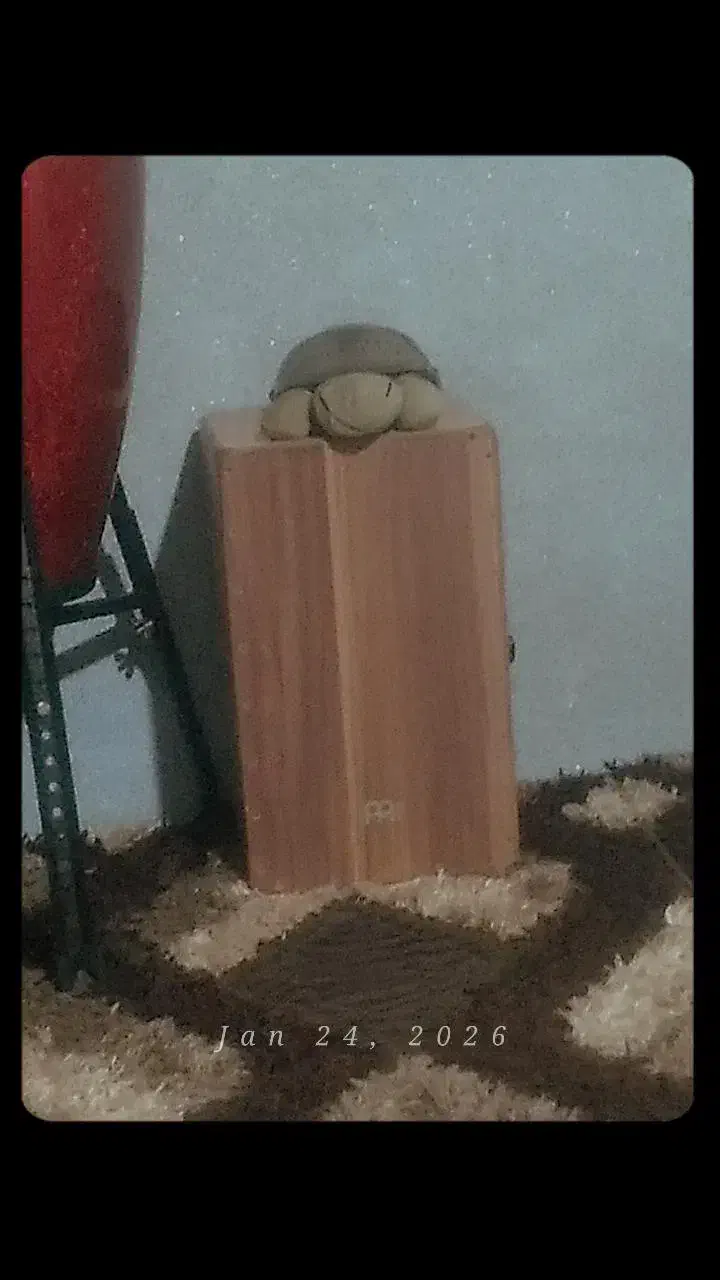 کاخن .کاخون|درام و پرکاشن|رشت, حمیدیان|دیوار