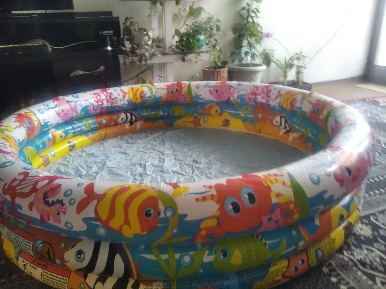 استخر|اسباب‌‌بازی|فولادشهر, B5|دیوار