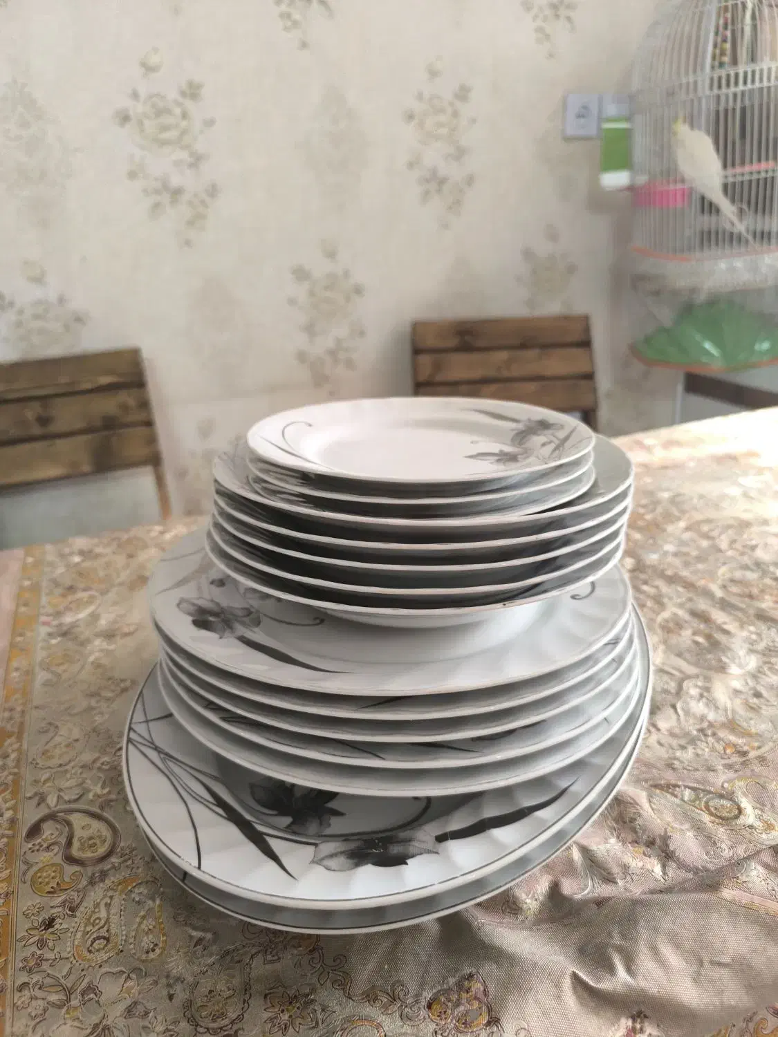 لوازم|لوازم نظافت|مشهد, شفا|دیوار