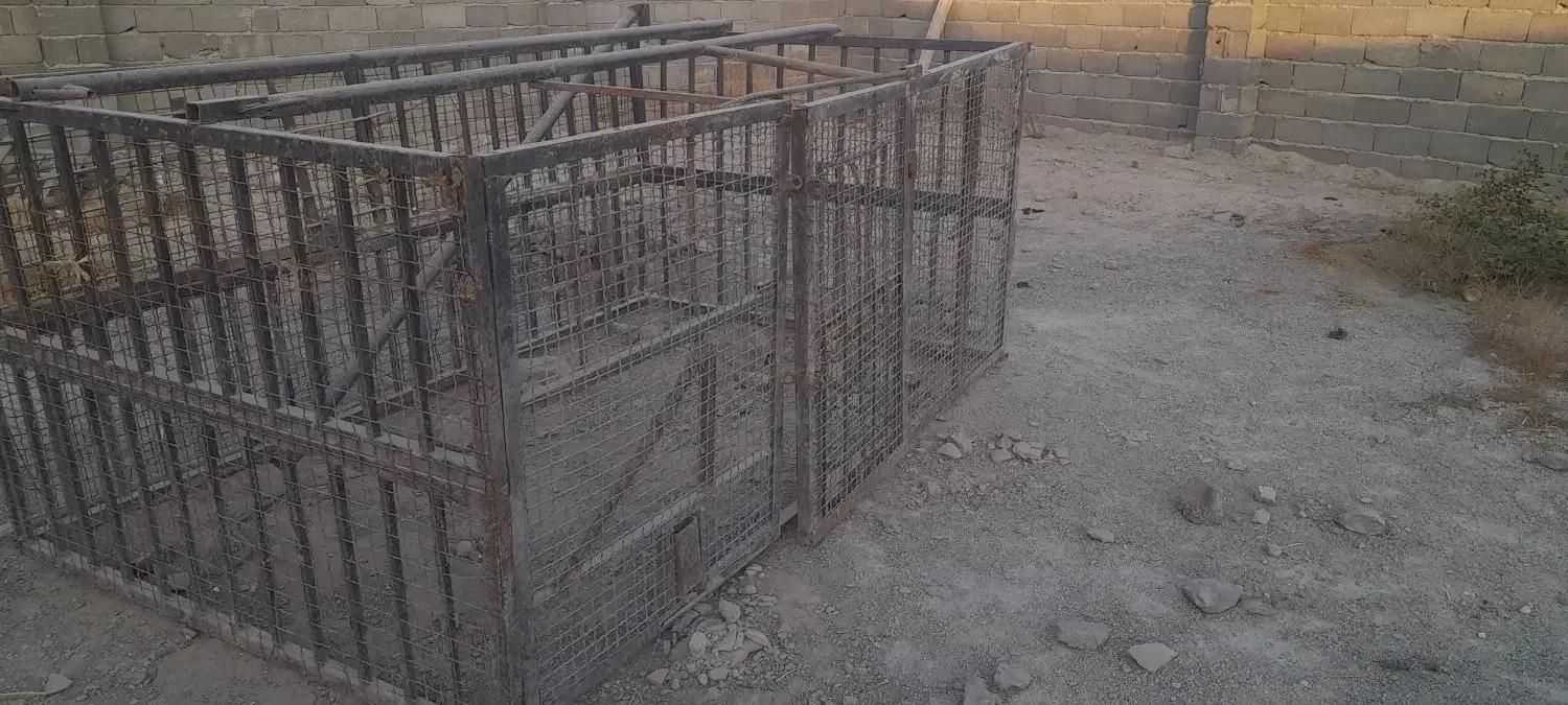 قفس بزرگ|لوازم جانبی حیوانات|هشتگرد, هشتگرد قدیم|دیوار